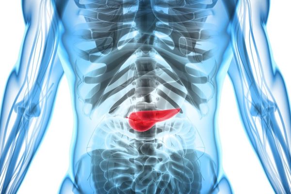 5 Tips Menghindari Konsumsi Alkohol demi Pankreas Sehat 5 Tips Menghindari Konsumsi Alkohol demi Pankreas Sehat