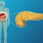 7 Nutrisi Penting yang Dibutuhkan oleh Pankreas