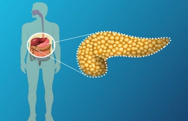 7 Nutrisi Penting yang Dibutuhkan oleh Pankreas 7 Nutrisi Penting yang Dibutuhkan oleh Pankreas