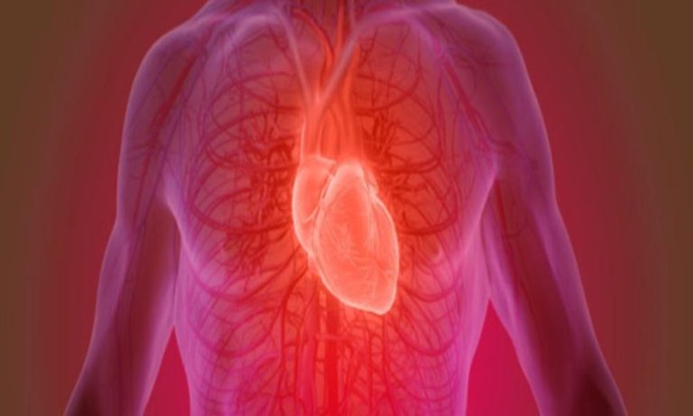 10 Tanda Pembuluh Darah Bermasalah yang Perlu Diwaspadai