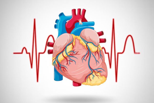 5 Cara Menjaga Kesehatan Jantung Saat Puasa